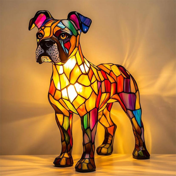 Rocky — Splendid Boxer