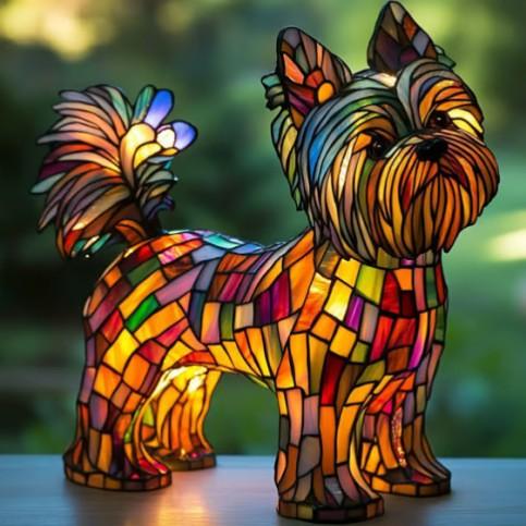Pepper — Radiant Yorkshire Terrier